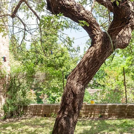 Experience Apartment Urbino